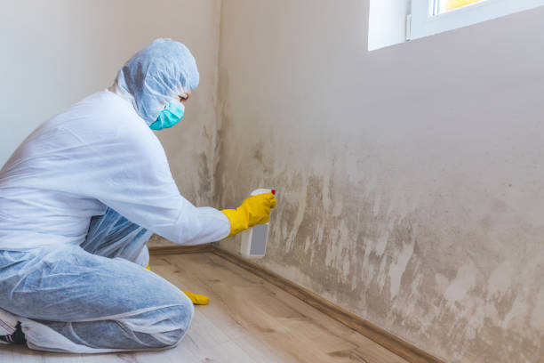 Hvac And Air Duct Mold Remediation inspection of HVAC system in Kendall Park